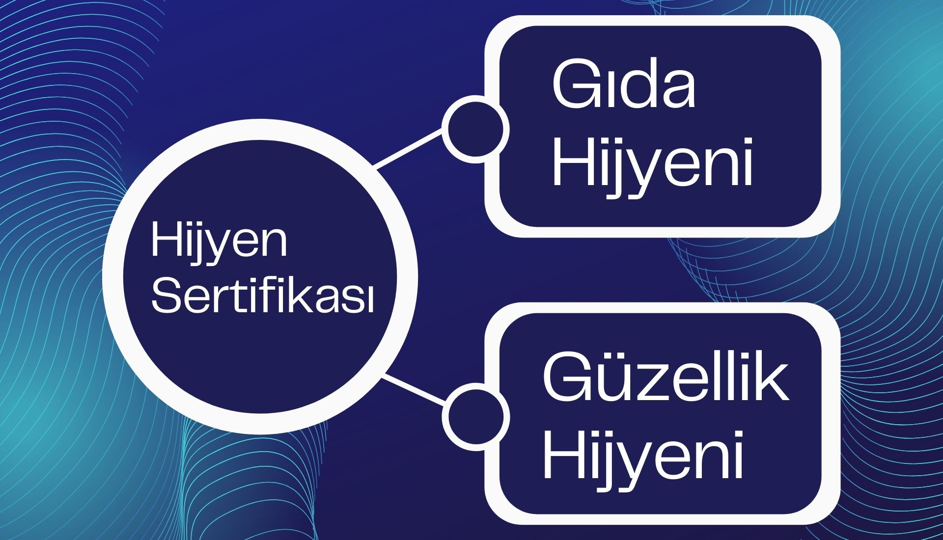 Hijyen Belgesi Nedir?